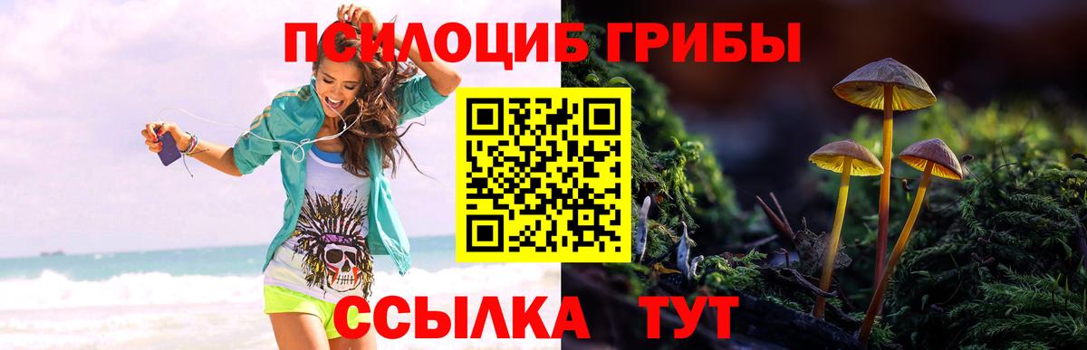 Псилоцибиновые грибы Magic Shrooms Уварово